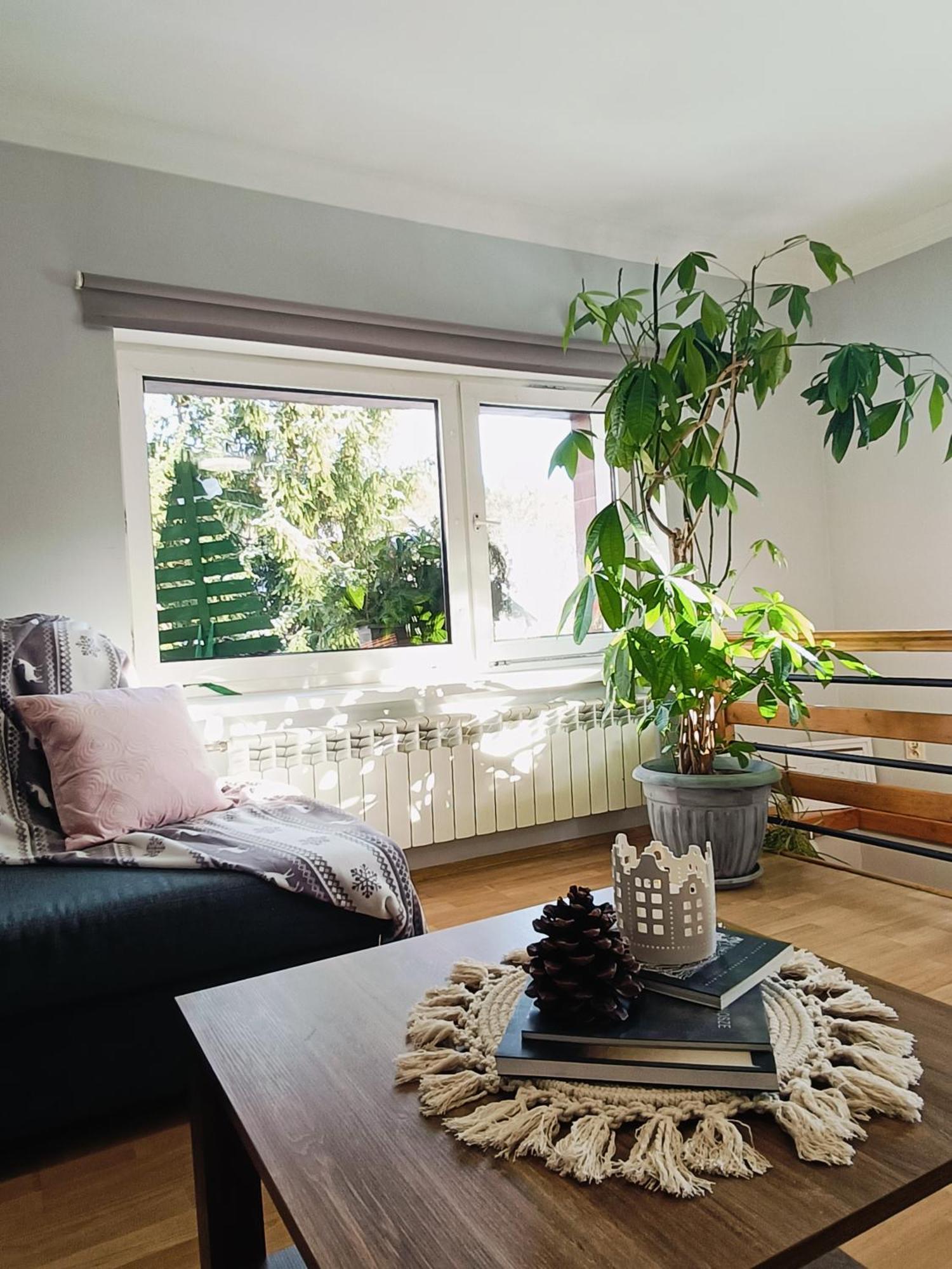 Apartament Nad Potokiem Piechowice  Bagian luar foto